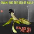 Swami And The Bed Of Nails, le nouveau projet de John Reis!